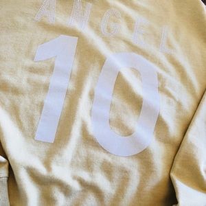 Victorias Secret pullover crop hoodie